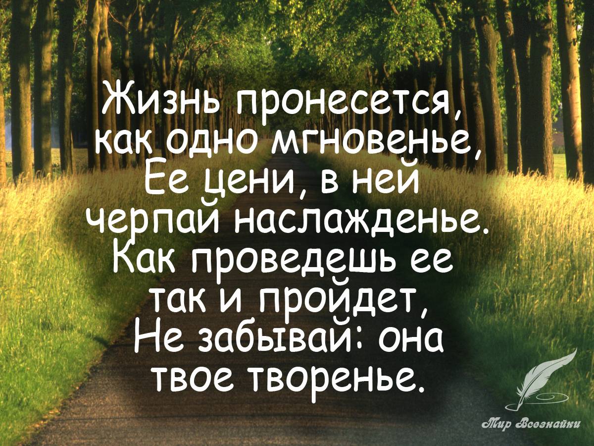Афоризмы со смыслом: короткие, умные мысли, цитаты великих людей