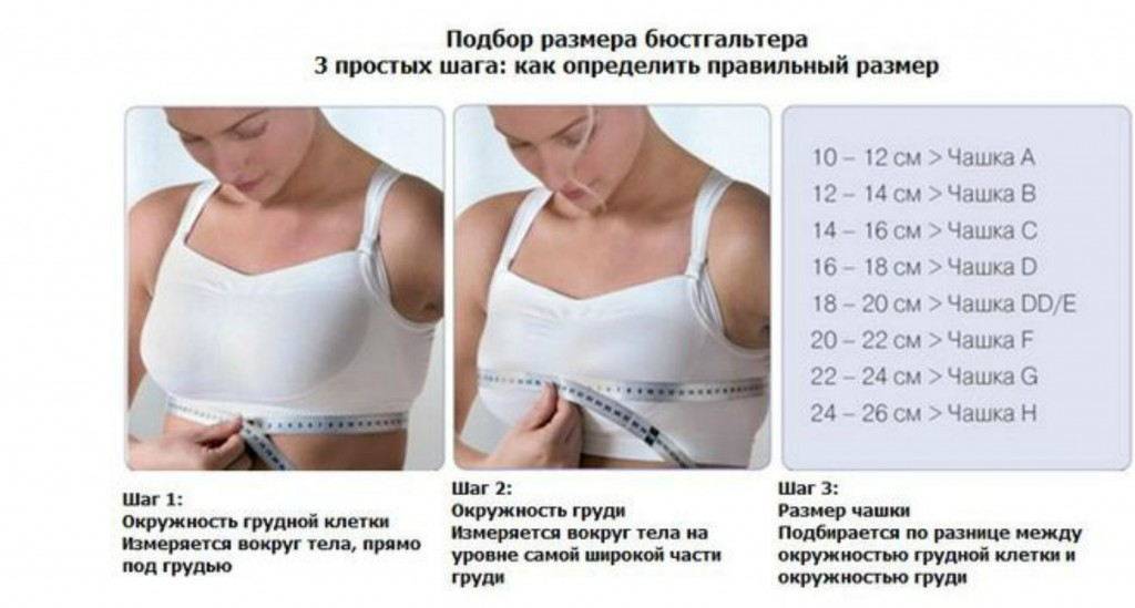 4 размер бюста: как выглядит, особенности размера