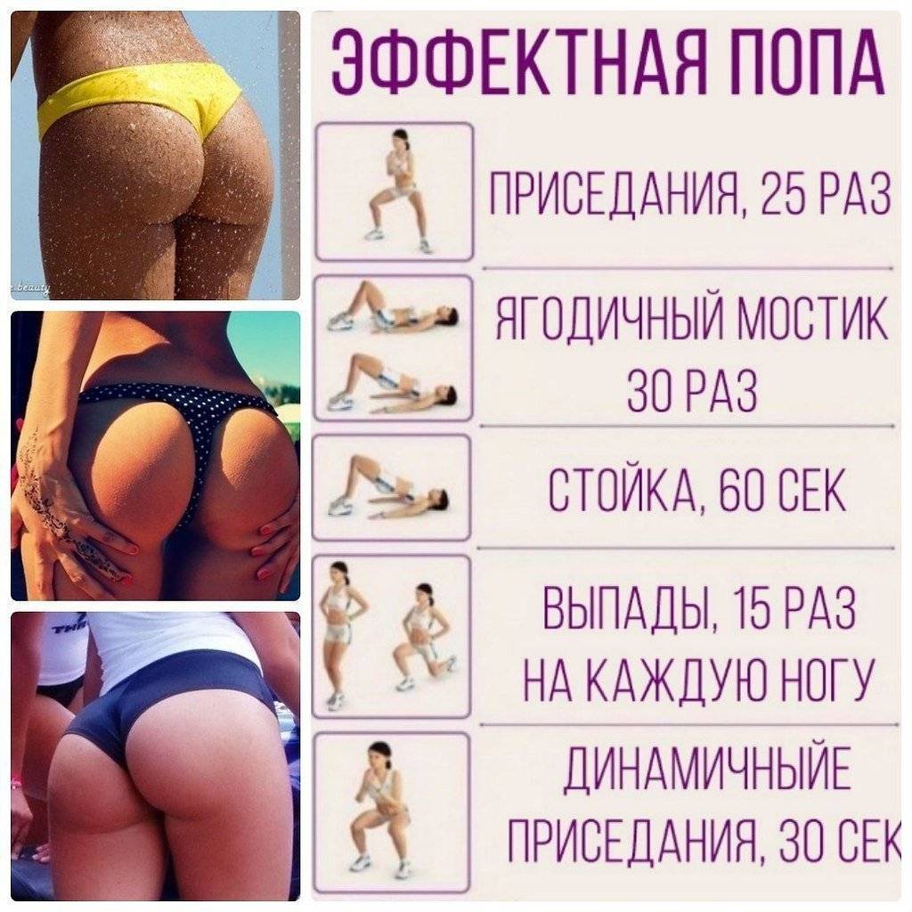 Анатомия ягодичных мышц, как подтянуть ягодицы и сделать попу упругой