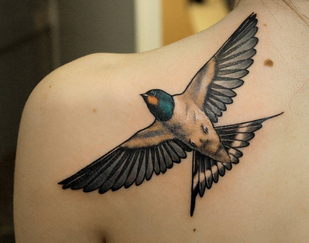 Tatufoto.com