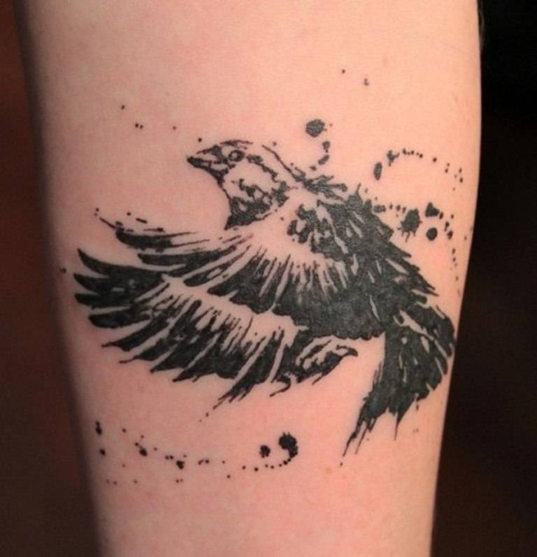 Tatufoto.com